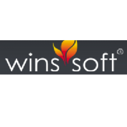 WINS SOFT