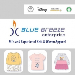 Blue Breeze Enterprise