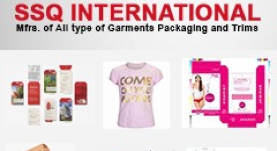 SSQ INTERNATIONAL